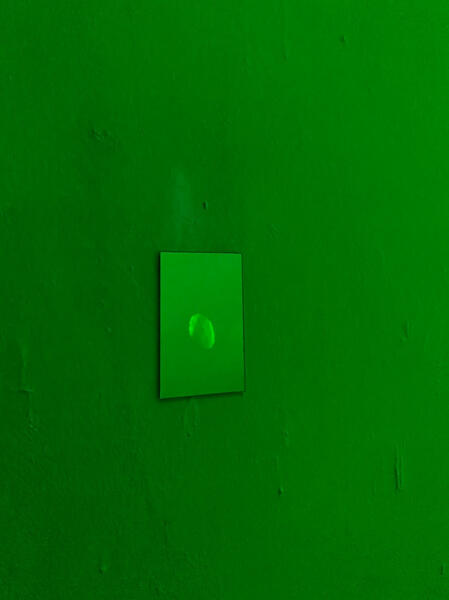 emerald contemplations_detail6 emerald contemplations_detail6