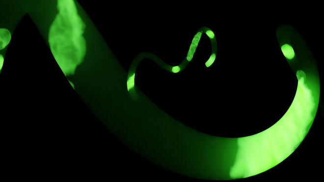 emerald contemplations (I)